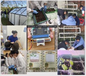 School Greenhouse: Using Hydroponics  and Organic Residues